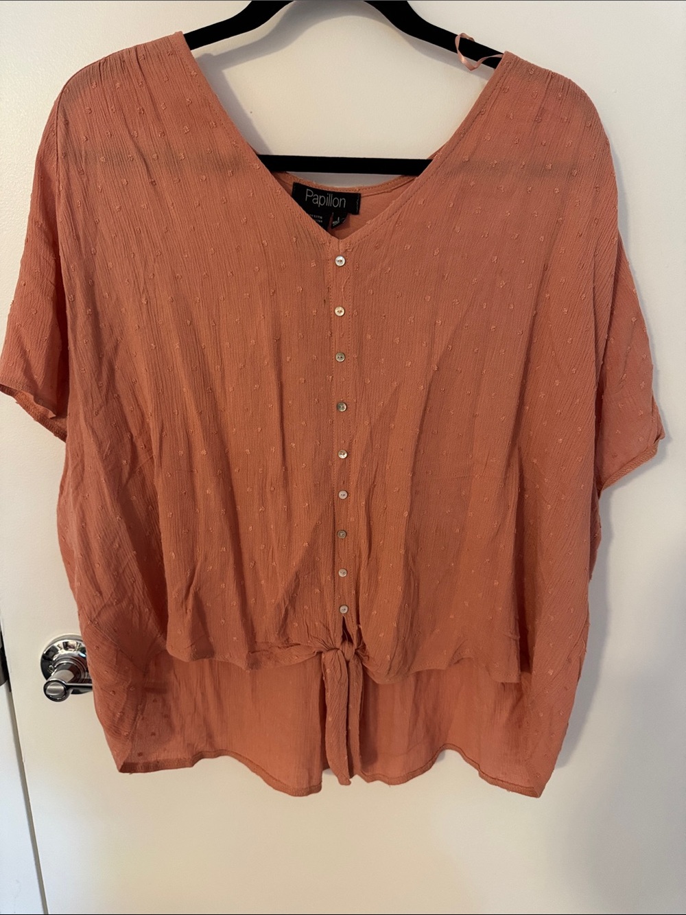 Papillon Blanc Rust Button-Front Tie-Hem Top